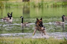 _NIK0745 low res.jpg