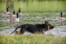 _NIK0746 low res.jpg