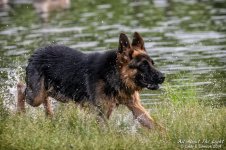 _NIK0750 low res.jpg