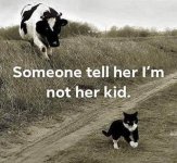 kid.jpg