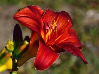 _ROY4565_01.jpg
