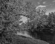 DSC_8615.jpg