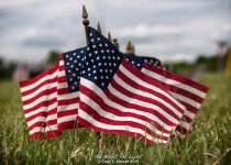 _10K0295 low res.jpg