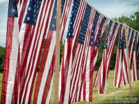 _10K0316 low res.jpg