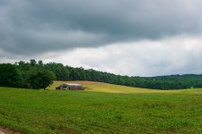 A81_4340.jpg