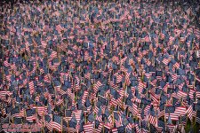 _10K0343 low res.jpg