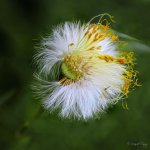 _XT29563-Modifier-2.jpg