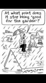 what point rain.jpg