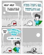 Technically Correct Man small.jpg