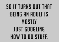 183112-So-It-Turns-Out-Being-An-Adult-Is-Mostly-Just-Googling-Stuff.jpg