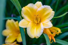 Out for a bit-2429.jpg