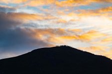 20190504-DSC_0113.jpg