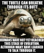 butt.jpg