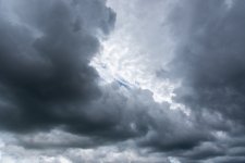 A81_4601.jpg