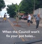 pot.jpg