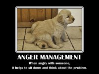 1385097357-funny-anger-quotes_011.jpg