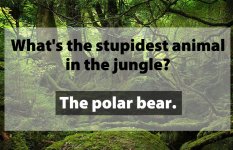creative-jokes-03.jpg