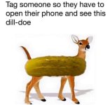 64307707_2172103163080190_5480349837012500480_n.jpg
