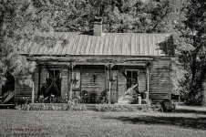 Out and about-2634-Edit.jpg