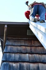 Janis Fixes Roof.jpg