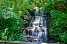 Cove Springs-2645.jpg