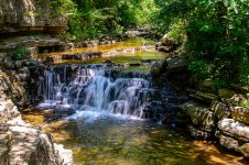 Cove Springs-2651.jpg