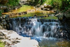 Cove Springs-2655.jpg