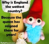 3cf9f4ecb6d779875737cb95784d2d15.jpg
