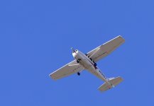 _ROY5984.jpg