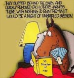 50shades ofhat.jpg