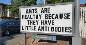funny-seattle-gas-station-sign-wallingford-cover.jpg