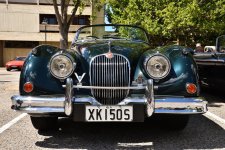 Jaguar 10 1 1.jpg Jaguar 10 1 1.jpg