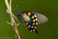 20190628-_D714117.jpg
