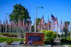 Healing Field-2804.jpg