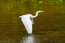 20180928-_D710894.jpg