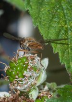 DSC_0003.jpg