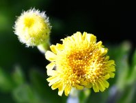 _ROY7399_01.jpg
