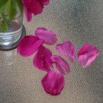 DSC_8941.jpg