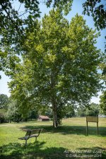 _10K0997 low res.jpg