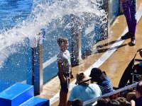 _ROY7995.jpg