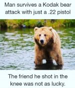 bear.jpg