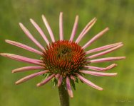 2MC_0100.jpg