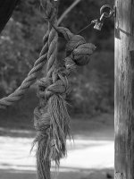 Rope.jpg
