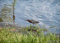 _10K1066 low res.jpg