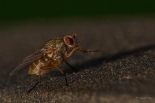 30072019-2MC_0396.jpg