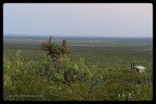 06-15-2019__7509800-cr-New Mexico.jpg