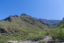 06-16-2019__7509803-cr-New Mexico.jpg