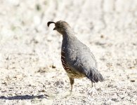 _ROY8853_00002.jpg