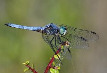 _ROY8946_00001.jpg
