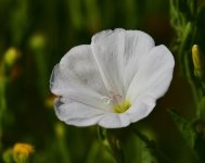 _ROY9145_00001.jpg
